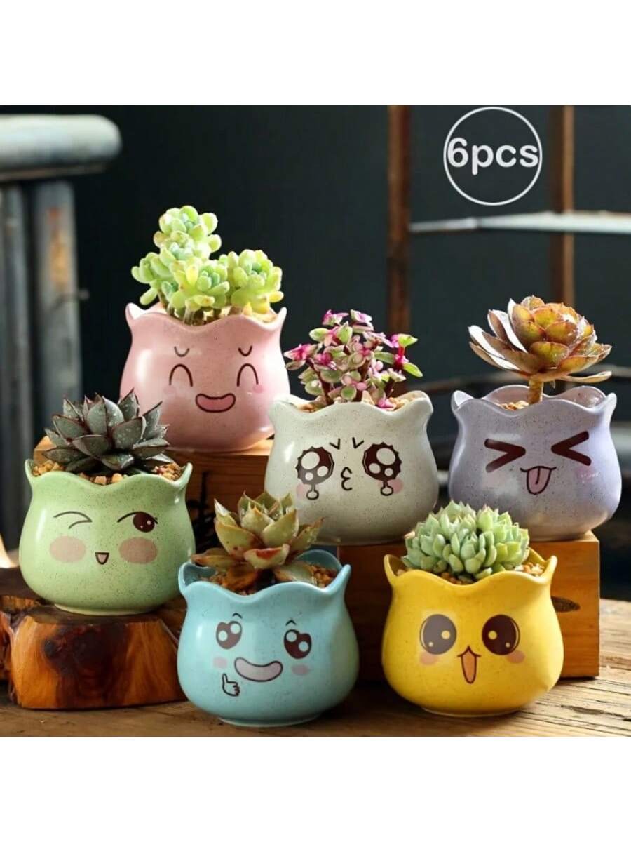 Echeveria Succulent - 6 Stück/Set Cartoon Niedliche Keramik-Blumentöpfe, Süße
