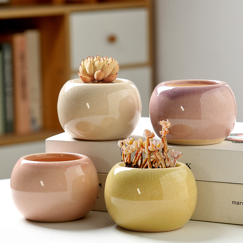 Aloe Vera Pot - Blumentopf Eis gebrochen kleine süße einfarbige