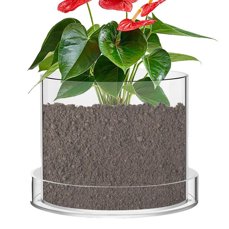 Aloe Vera Pot - Klare Blumentöpfe mit Entwässerung, transparente Topfbehälter