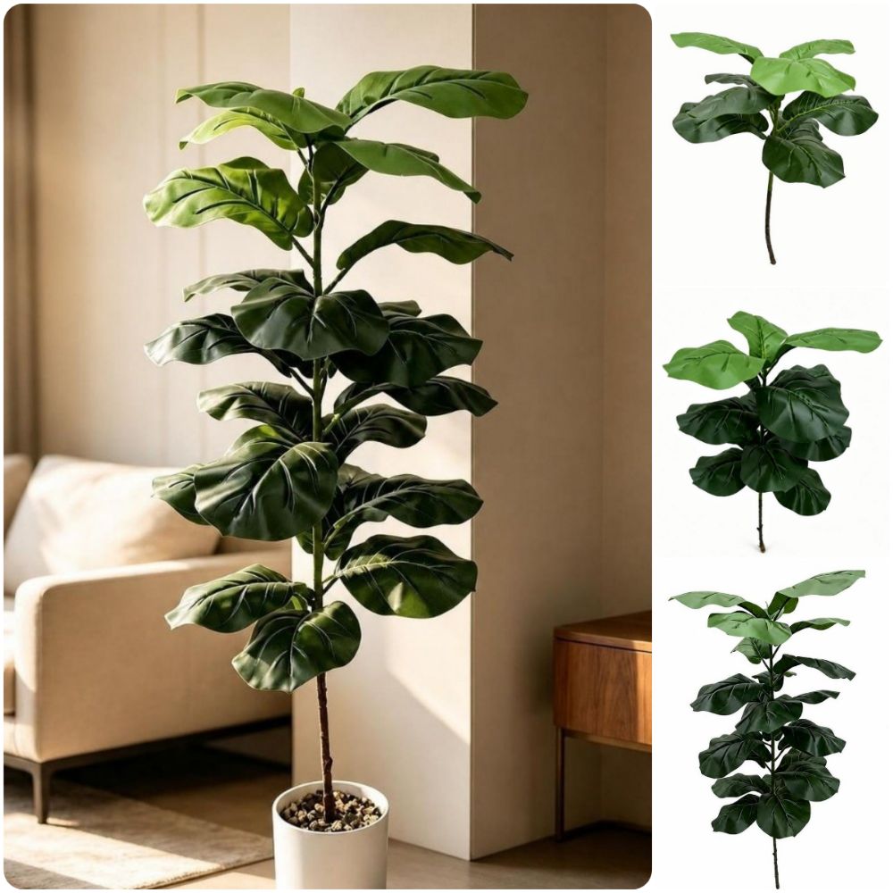 Ficus Lyrata Tree - 9/15/23 Künstliche Ficus Lyrata Blätter, große