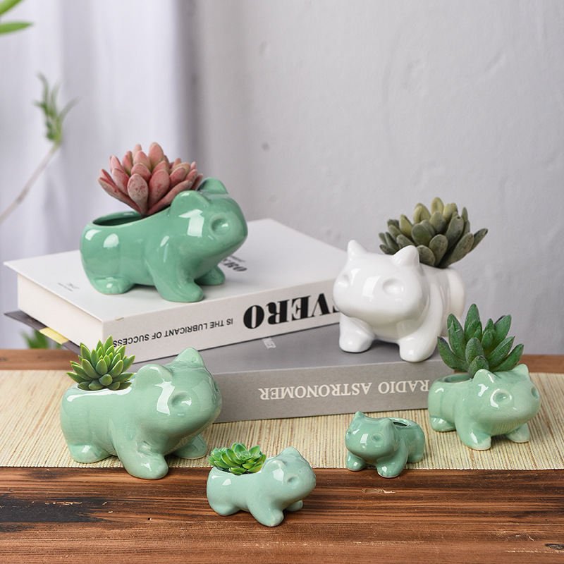 Kreativer Sukkulenten-Blumento – Echeveria Succulent Bewertung und Preis
