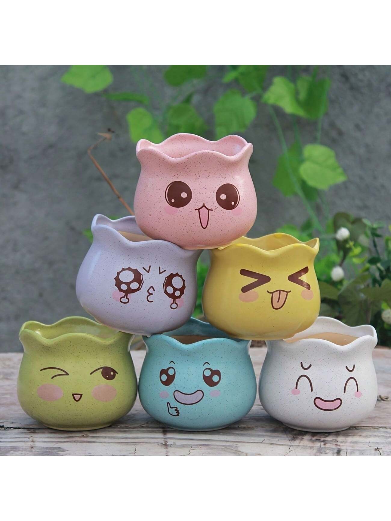 6 Stück/Set Cartoon Niedliche  – Echeveria Succulent Bewertung und Preis