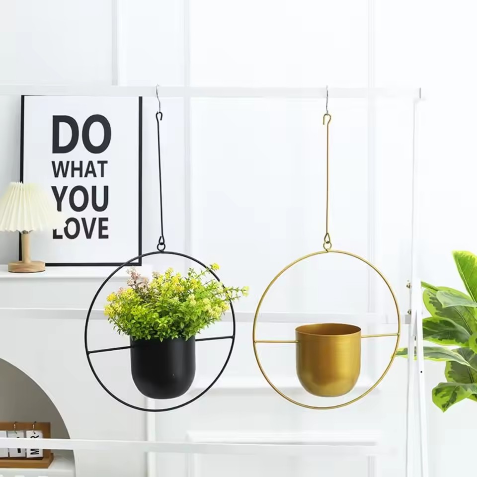 Kreativer hängender Pflanzenko – Echeveria Succulent Bewertung und Preis