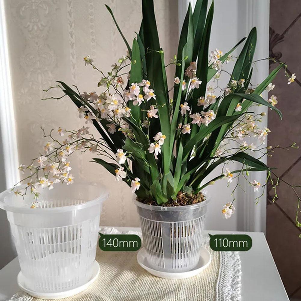 Mesh Pot Root Control Transpar – Aloe Vera Pot Bewertung und Preis