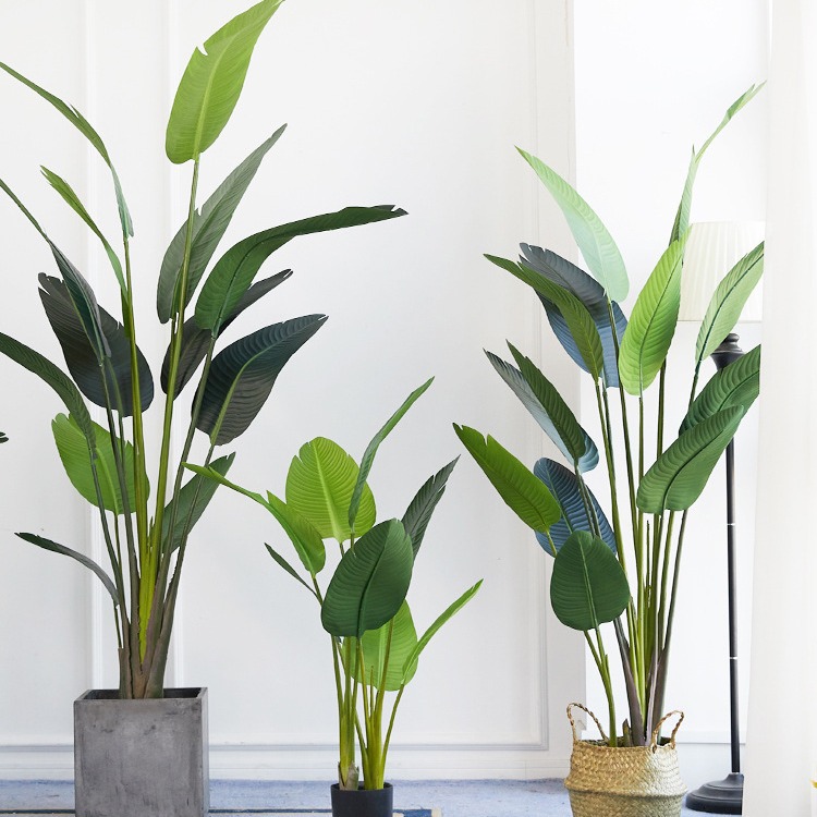 Künstlicher Kunststofftopf ​ P – Bird Paradise Strelitzia Bewertung und Preis