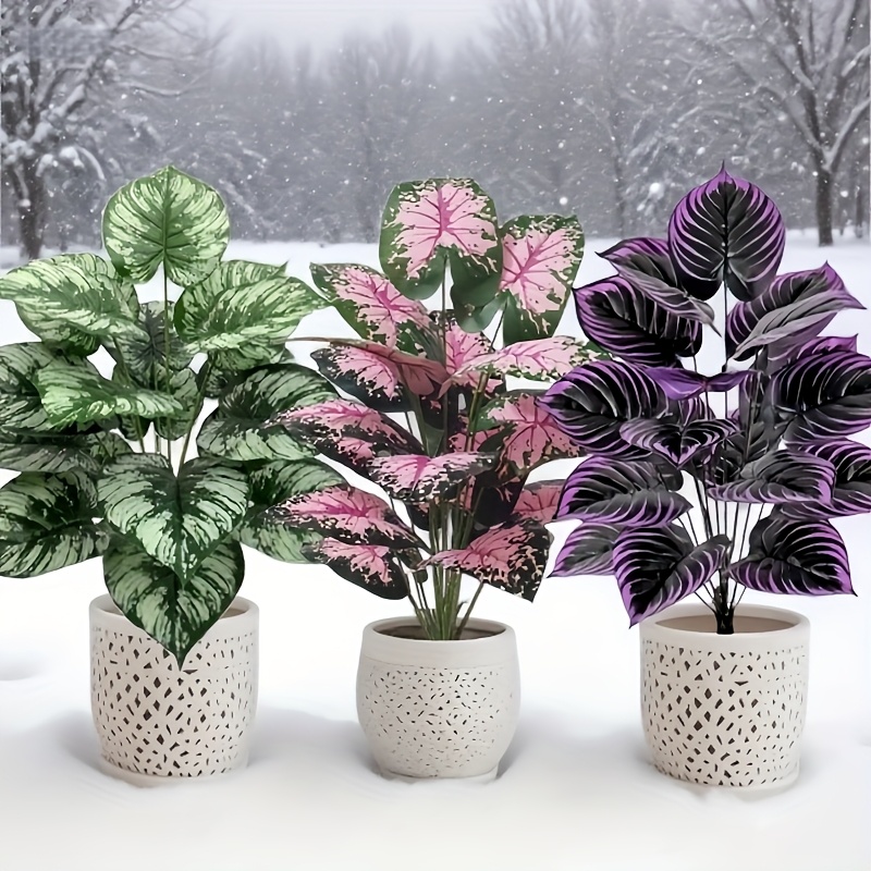 3 Stück 60 cm großes künstlich – Monstera Adansonii Bewertung und Preis
