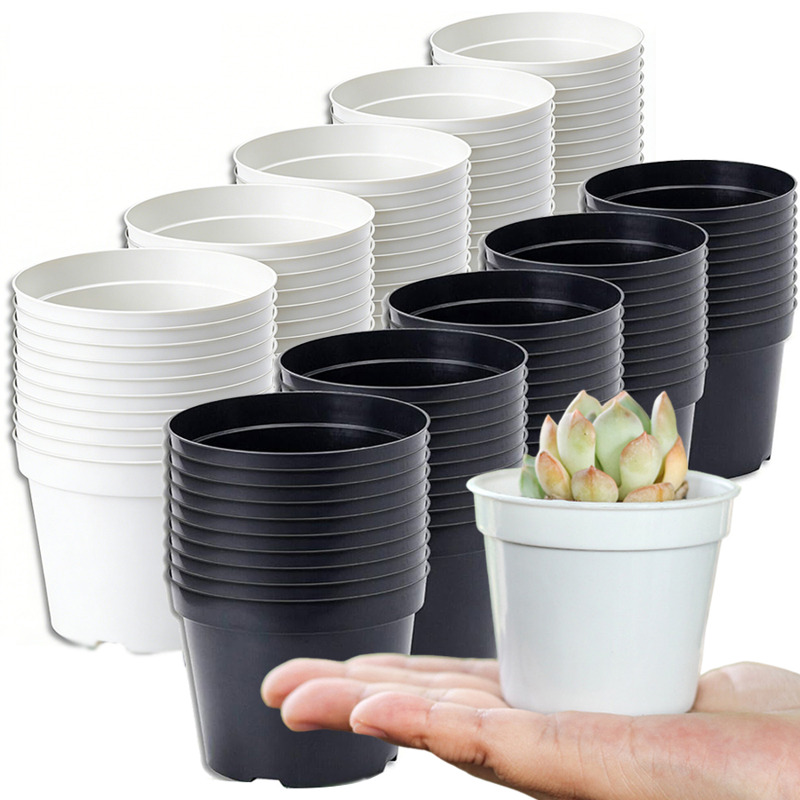 12/20 Stück Mini Runde Kunstst – Echeveria Succulent Bewertung und Preis