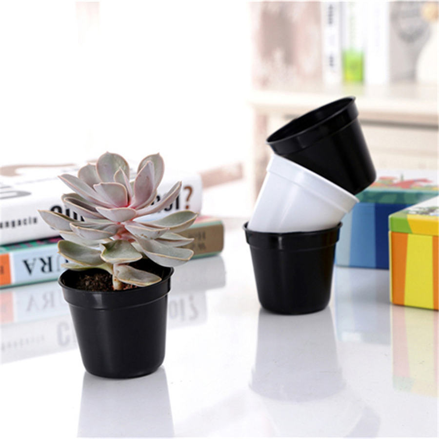 12/20 Stück Mini Runde Kunstst – Echeveria Succulent Bewertung und Preis