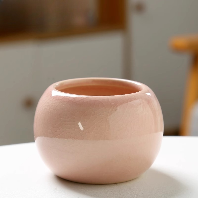 Blumentopf Eis gebrochen klein – Aloe Vera Pot Bewertung und Preis