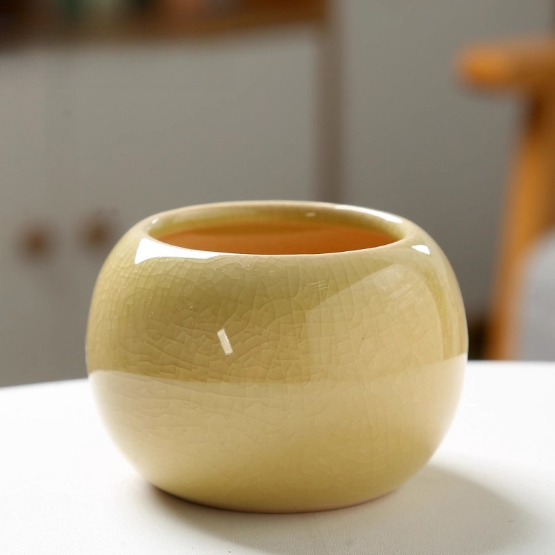 Blumentopf Eis gebrochen klein – Aloe Vera Pot Bewertung und Preis