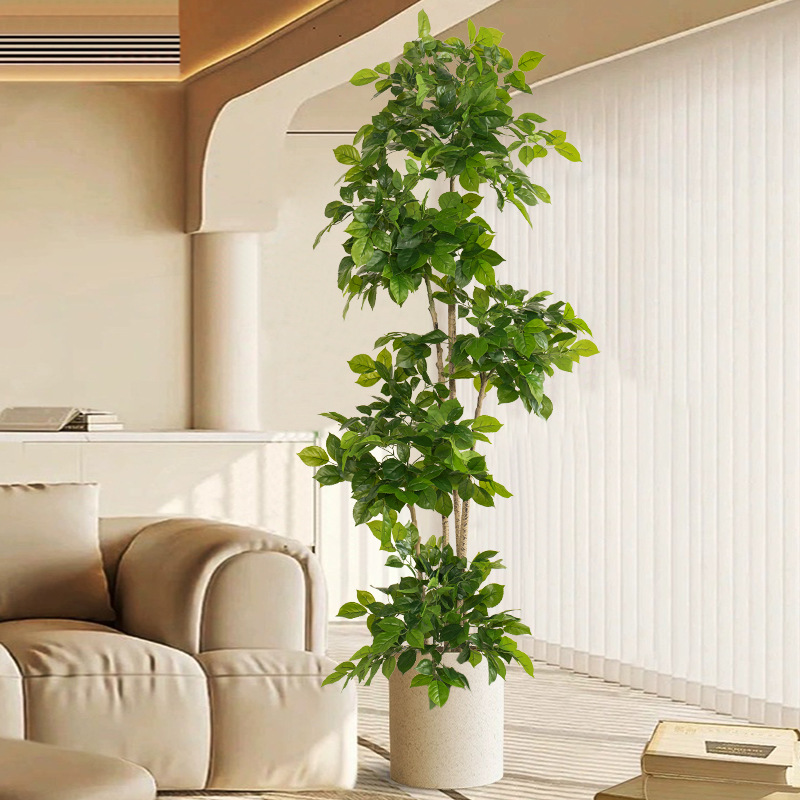 2-78 Zoll große gefälschte Pfl – Dracaena Marginata Bewertung und Preis