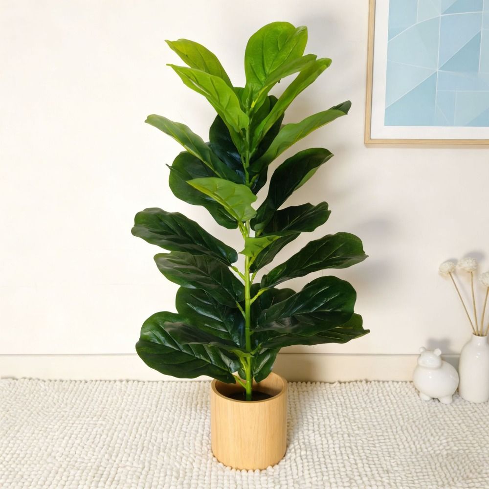 Grüner Künstlicher Ficus-Baum  – Monstera Adansonii Bewertung und Preis