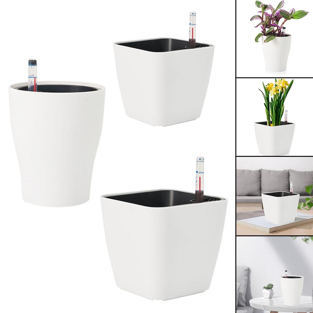 Selbstbewässernde Blumentöpfe, – Aloe Vera Pot Bewertung und Preis