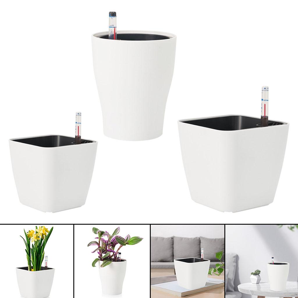 Selbstbewässernde Blumentöpfe, – Aloe Vera Pot Bewertung und Preis
