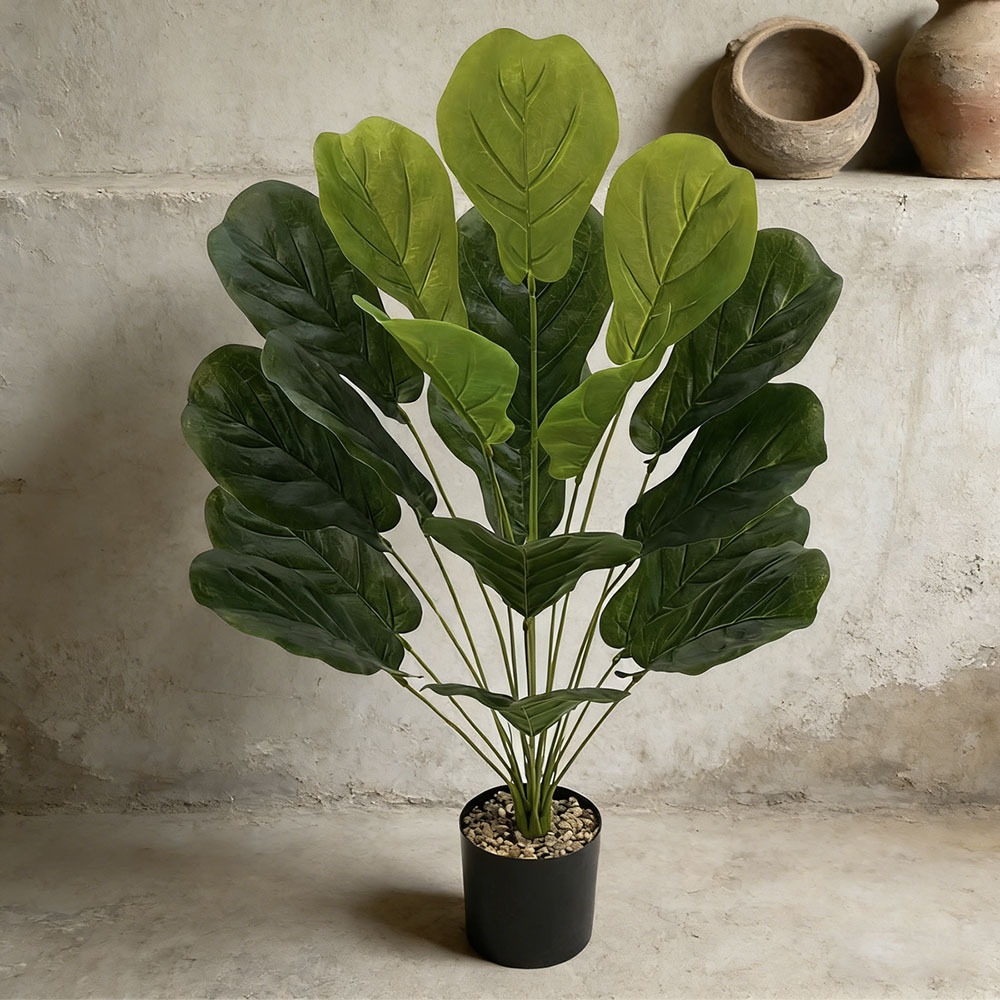 1 Stück 75cm Künstlicher Ficus – Ficus Lyrata Tree Bewertung und Preis