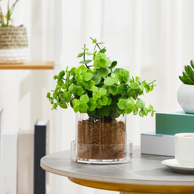 Klare Blumentöpfe mit Entwässe – Aloe Vera Pot Bewertung und Preis