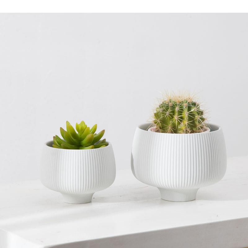 Mehrfarbige Streifen, Keramikv – Aloe Vera Pot Bewertung und Preis