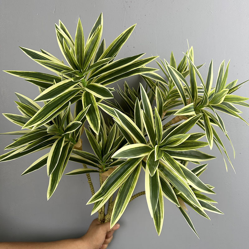 Simulierte Grünpflanzen mit 3  – Dracaena Marginata Bewertung und Preis