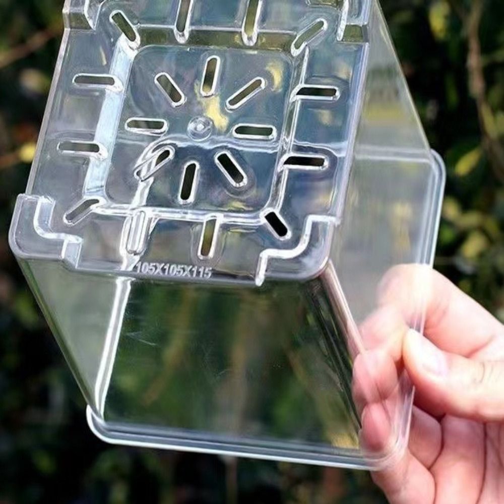 Transparenter Acryl-Pflanztopf – Aloe Vera Pot Bewertung und Preis