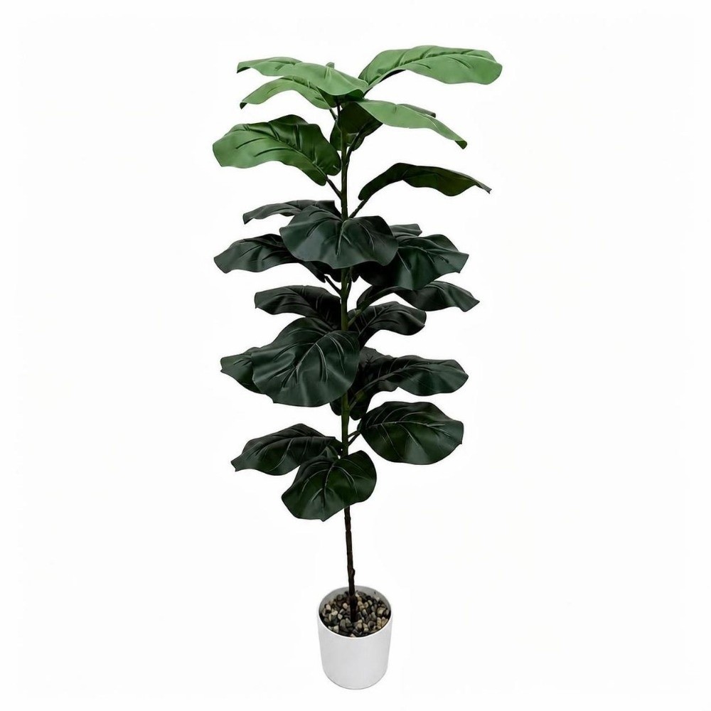 9/15/23 Künstliche Ficus Lyrat – Ficus Lyrata Tree Bewertung und Preis